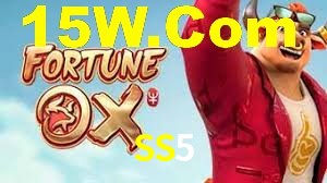 Premium Interface SS5